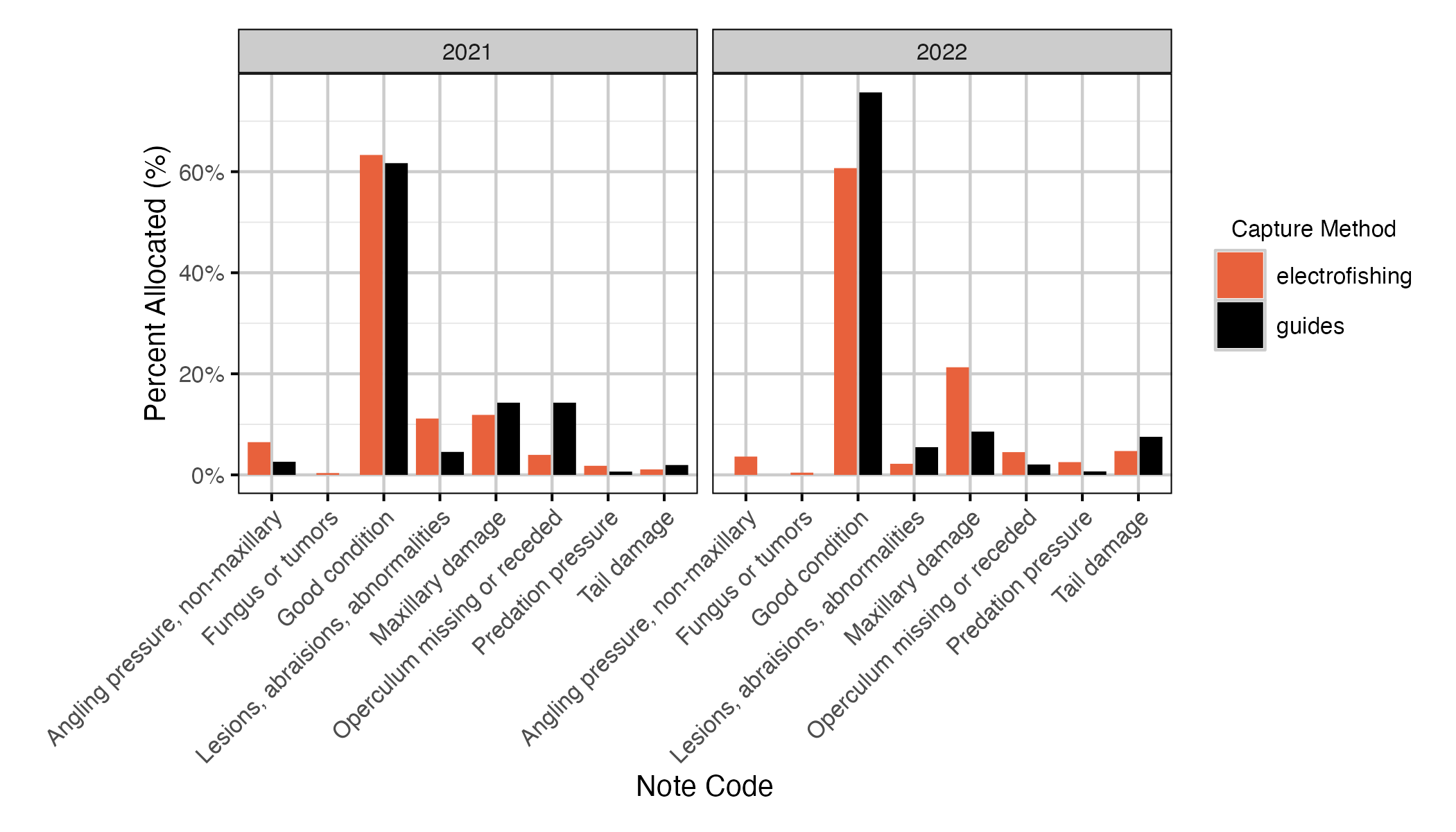 figures/codes/NoteCodeGroupPercent.png