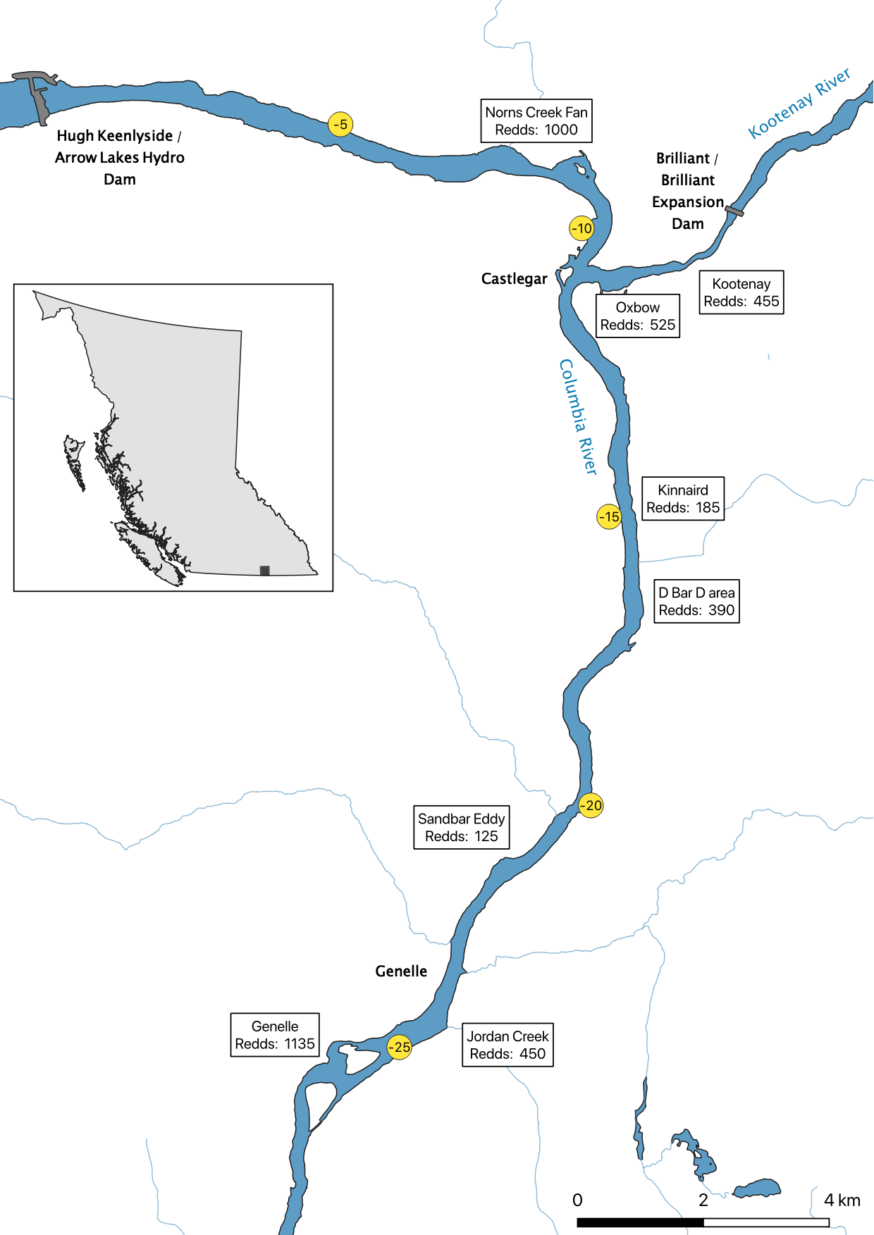 Lower Columbia River Rainbow Trout Spawning 2019 | Poisson Consulting